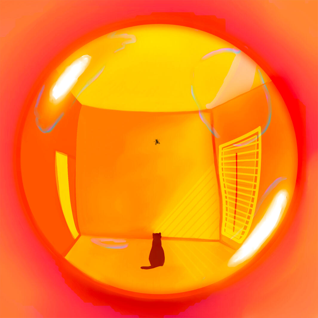 Untitled Untitled